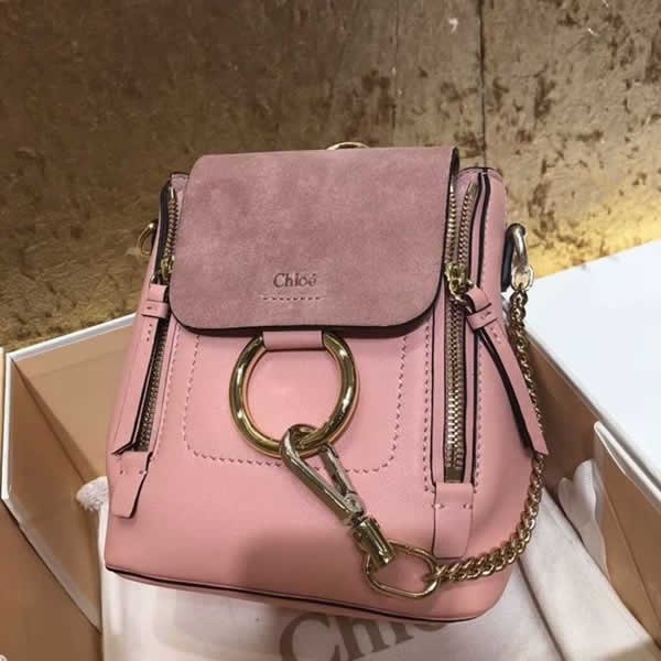 Replica New Pink Chloe Faye Backpack Mini Backpack Discount Handbags 1232