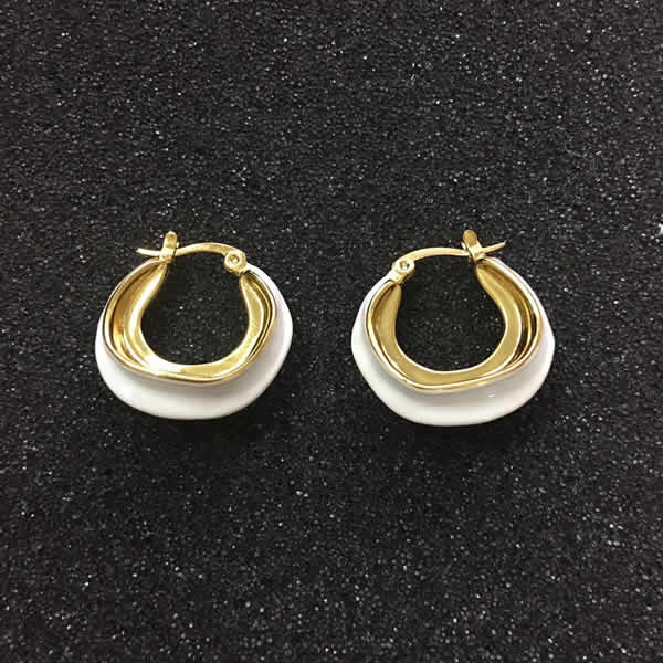 Wholesale Replica Cheap Celine New Earrings For Sale Luxury Jewelry