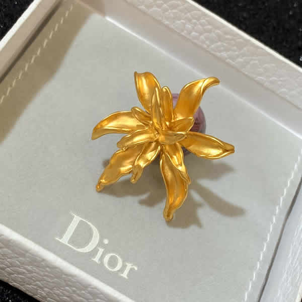 Fake Cheap Dior Evolution Dual-Use Earrings