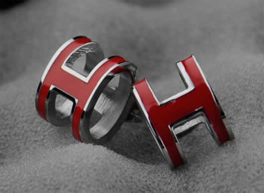 Designer Hot Sale Replica Fashion Discount Hermes Earrings 01