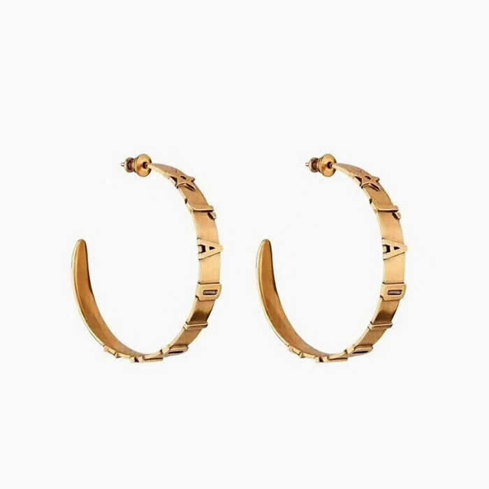 Earrings For Women Fashion Jewelry Replica Cheap Christian Dior Earrings 57